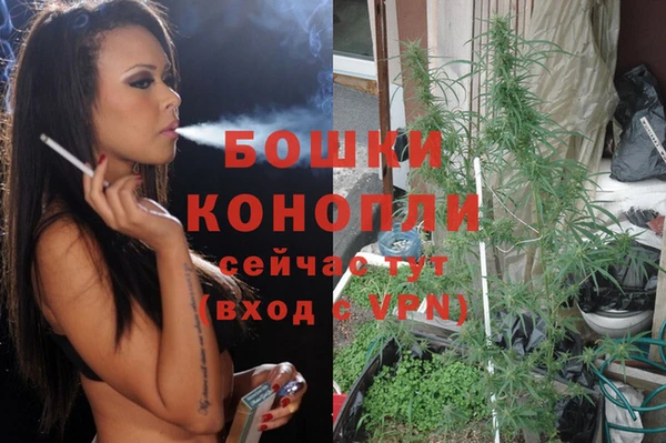 мяу мяу мука Медвежьегорск