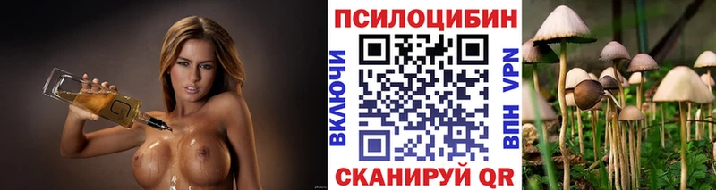 Купить  Тихорецк  Псилоцибиновые грибы мухоморы 